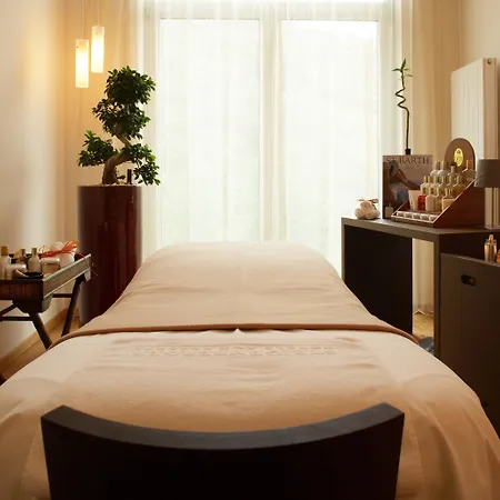 Steigenberger & ホテル クレムス アン デル ドナウ