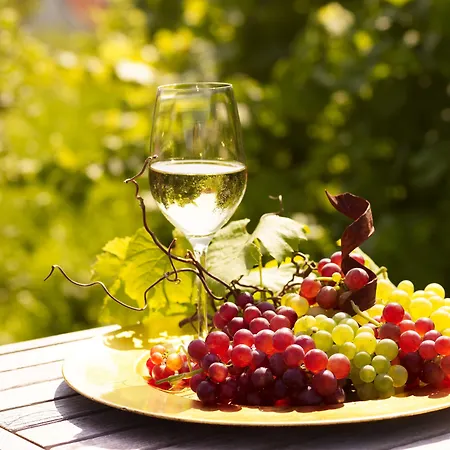 Steigenberger & Krems an der Donau