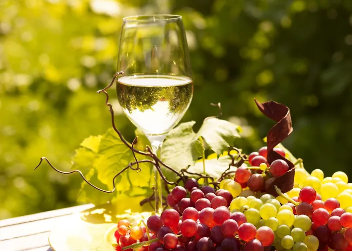 Steigenberger Hotel&spa Krems an der Donau